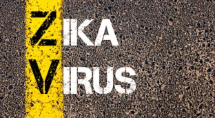 Zika Edges Closer To Nigerian Borders