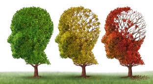 Can a Herbal Remedy Really Treat Alzheimer’s disease?
