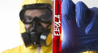 Ebola Strikes Again! 17 Deaths Confirmed