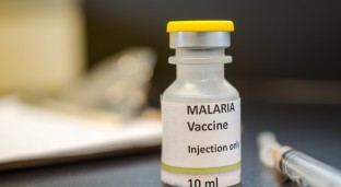 WHO Approves First Malaria Vaccine