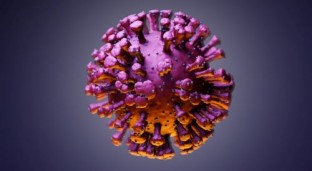 Polio Virus Found in London Sewage