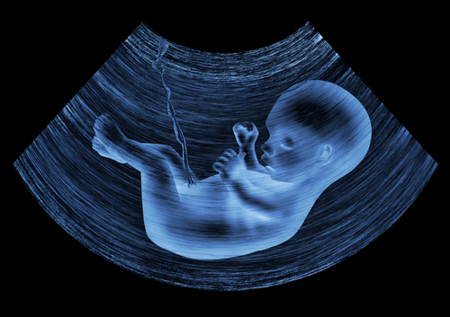 A Few Notes On My Unborn Son’s Personality