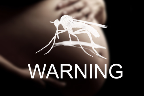 pregnant-zika