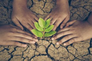 changing climate