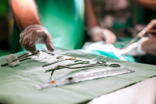 Pig Kidneys Successfully Transplanted in Brain-Dead Man